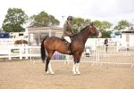 SBM_02879