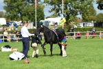 SBM_46966