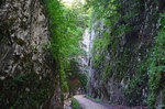 Piatra Craiului Mountains, Brașov County, Romania