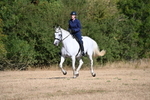 WJ6_6821