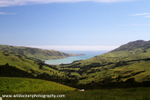 NZ002: Akaroa view