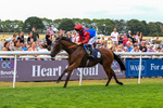 280726-Race 5-Norcross Brow-1261