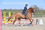 BPP_3175