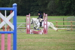 Show Jumping 40cm & 60cm portfolio