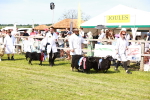 SBM_08296