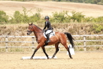 SBM_003549