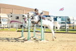 SBM_003385