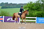 Cls 32 British Novice and 90cm Open portfolio