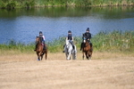 WJ6_8303