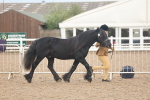 SBM_08428