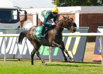 240726-Race 1-Martinet-00955