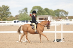 SBM_15986
