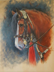 PERSEUS ( Big Red)