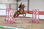 BPP_3446