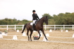 SBM_003247