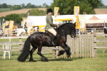 SBM_09543