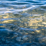 SHADE AND SUN - GEORGIAN BAY