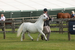 SBM_00494