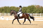 SBM_015015