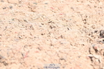 240621A-132705-03748