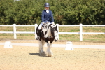 SBM_003747
