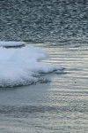 IMG_8216_2