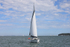 190729 MERDEKA GBR7835T - BAVARIA 44 1Y3A6202