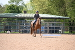 Dressage portfolio
