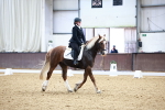 SBM_000187