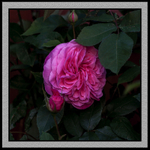 17Jun2013: Photo 168