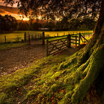Autumn Morning Stroll