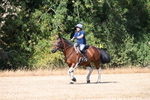 WJ6_8735