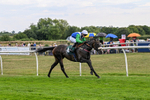 260826-Race 5-Novamay-3524