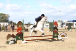 SBM_15196