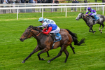 Race 3 2.55pm Oakmere Homes Hambleton Handicap portfolio