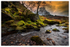 The Hobbit's playground