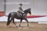 BPP_6643
