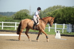 SBM_007340
