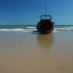 Beached