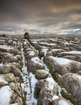 Ancient Stones