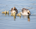 20140503-3K8A0916