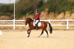 SBM_018648