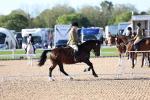 SBM_08812