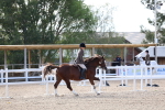 SBM_16765