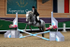 equiscot 3109