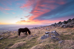 Cox Tor