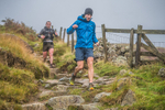 Langdale-977