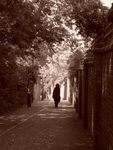 Woman in Lane, Holland Park (sepia)