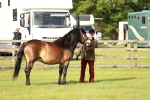 SBM_00645