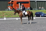 SIAL0391